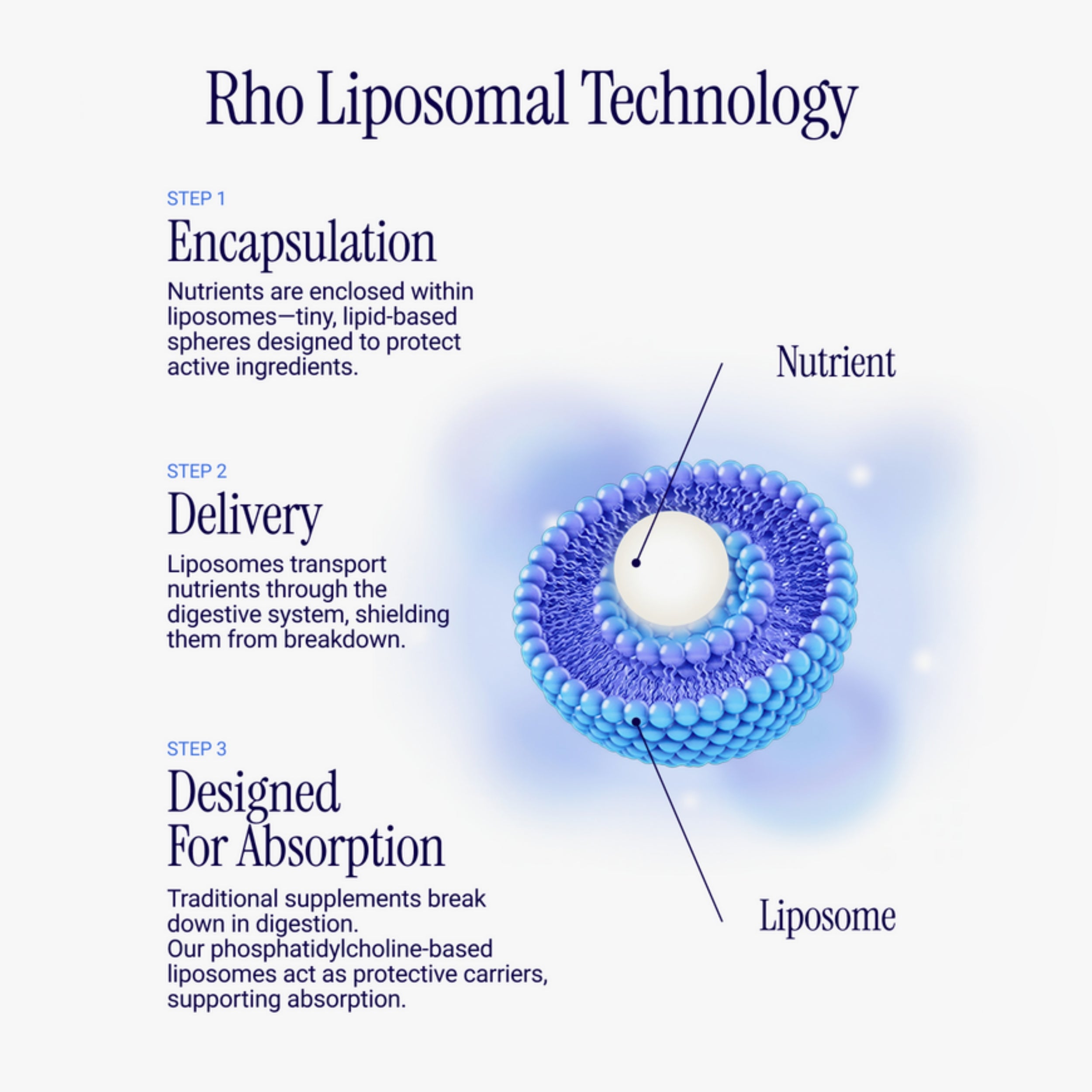 Rho Nutrition Liposomal NAD+